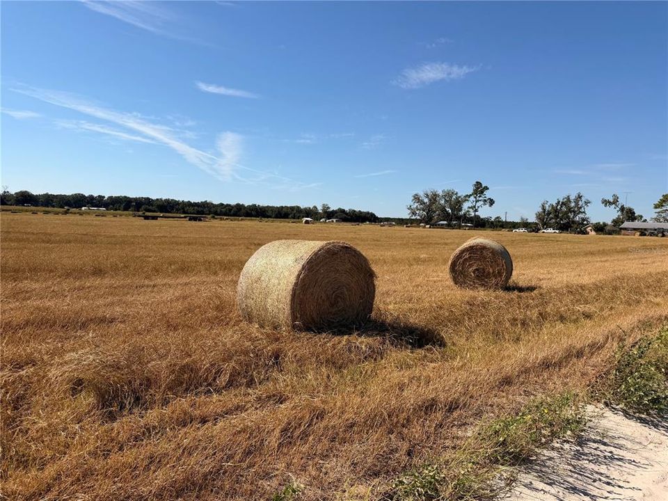 For Sale: $350,000 (39.69 acres)