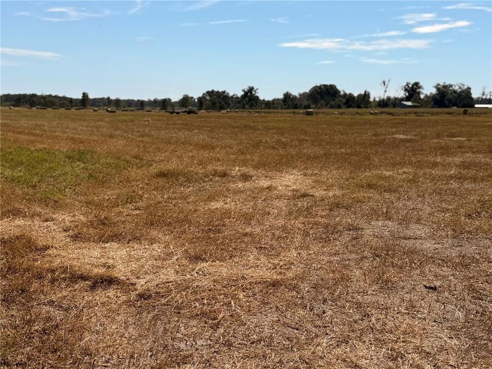 For Sale: $350,000 (39.69 acres)