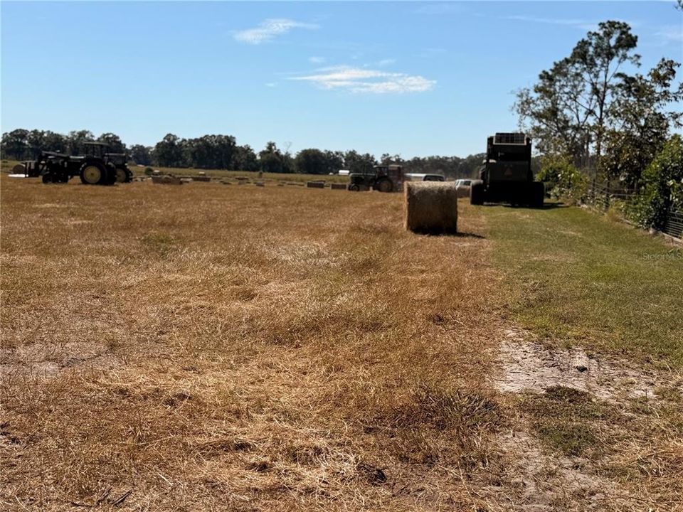 For Sale: $350,000 (39.69 acres)