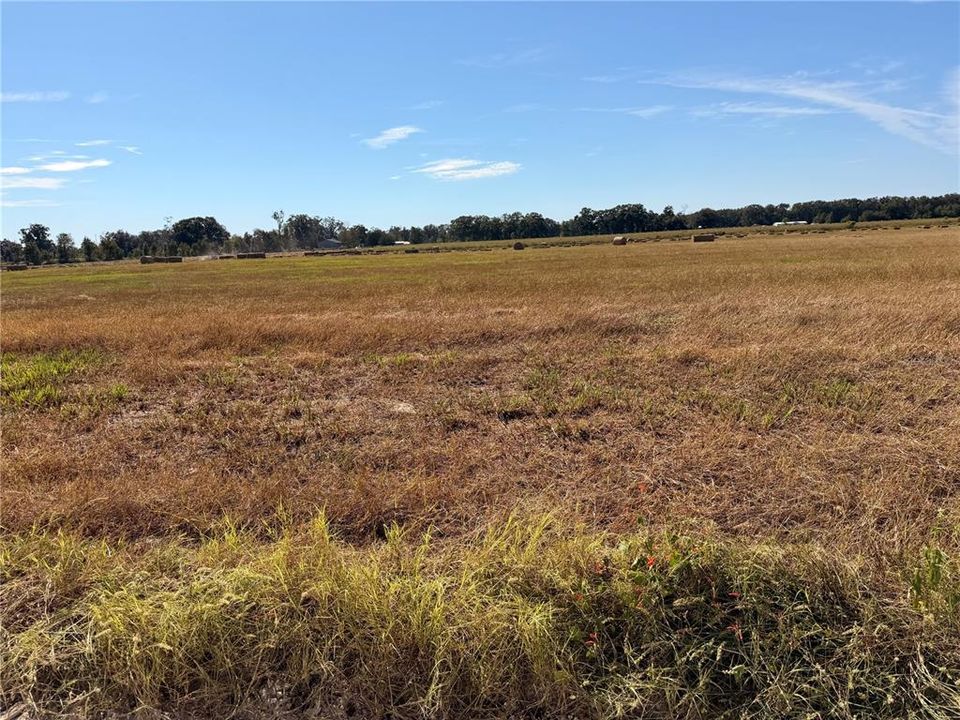 For Sale: $350,000 (39.69 acres)