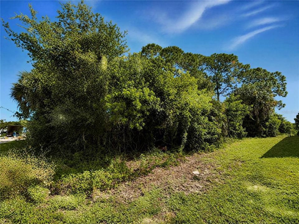 For Sale: $41,990 (0.23 acres)