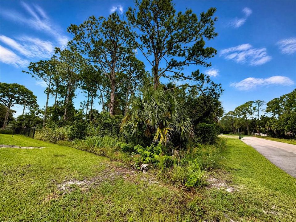 For Sale: $41,990 (0.23 acres)