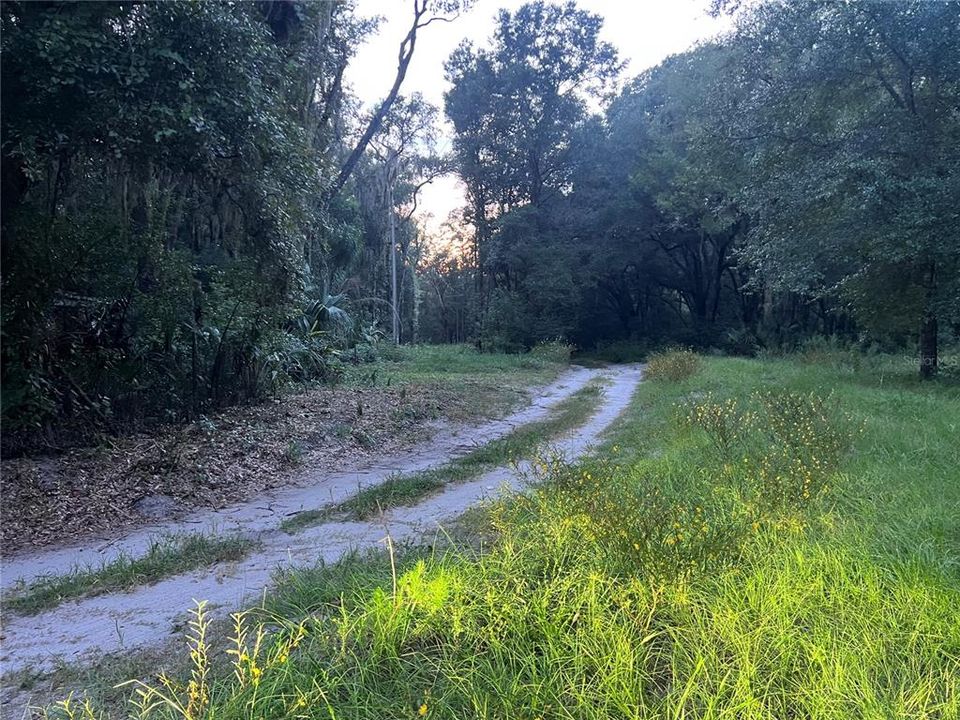 For Sale: $19,000 (0.71 acres)