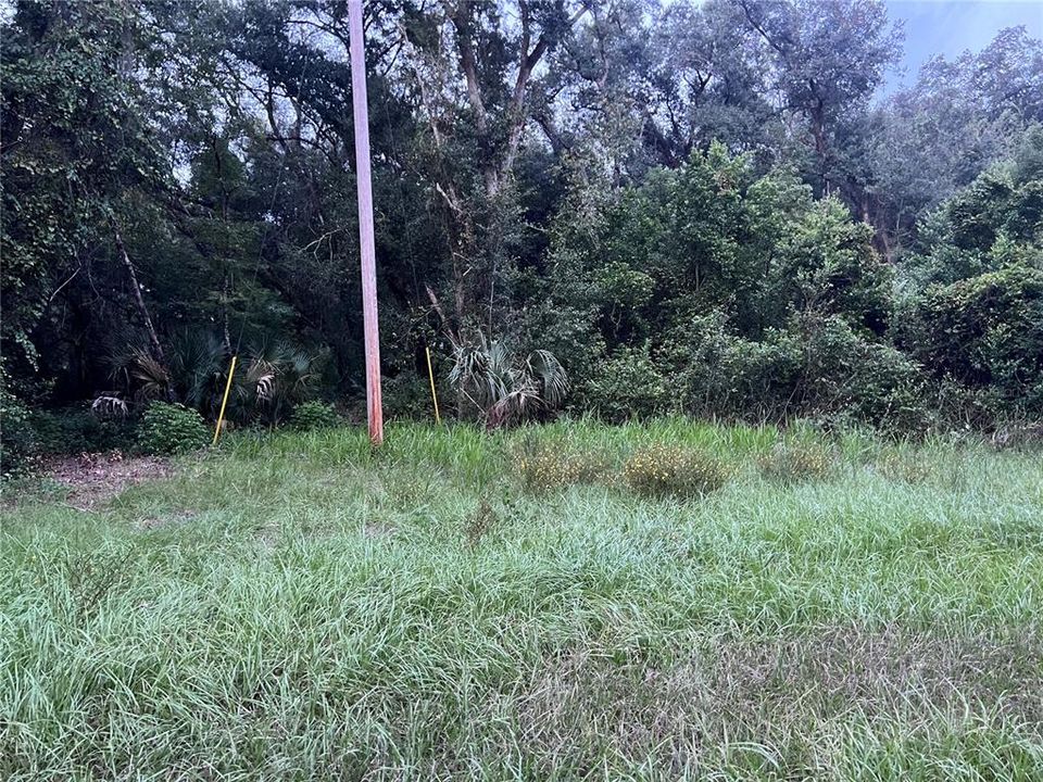 For Sale: $19,000 (0.71 acres)