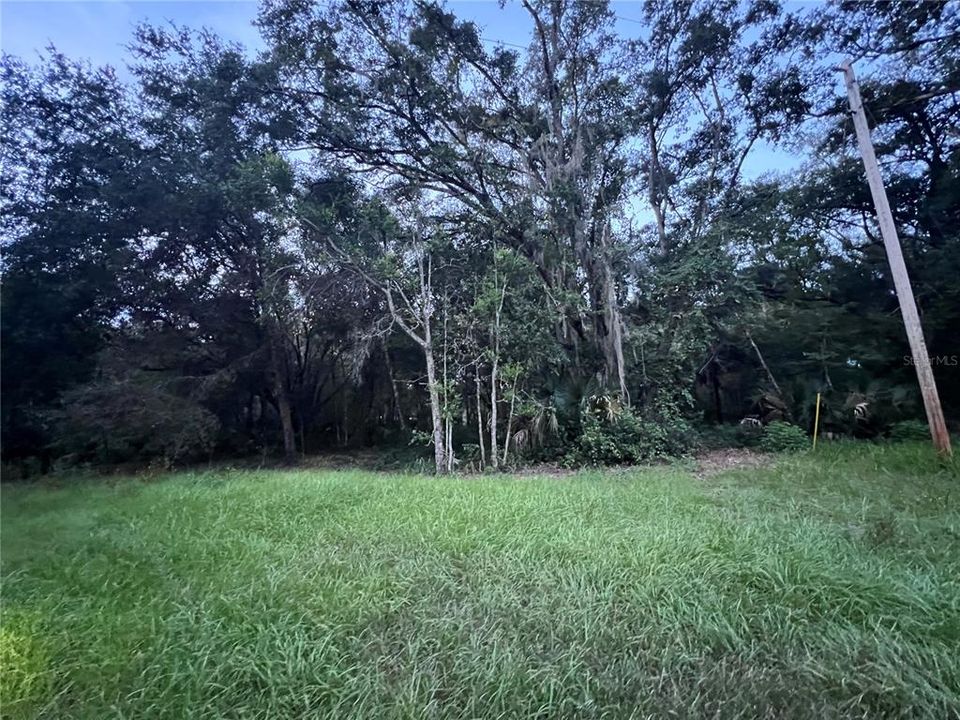 For Sale: $19,000 (0.71 acres)