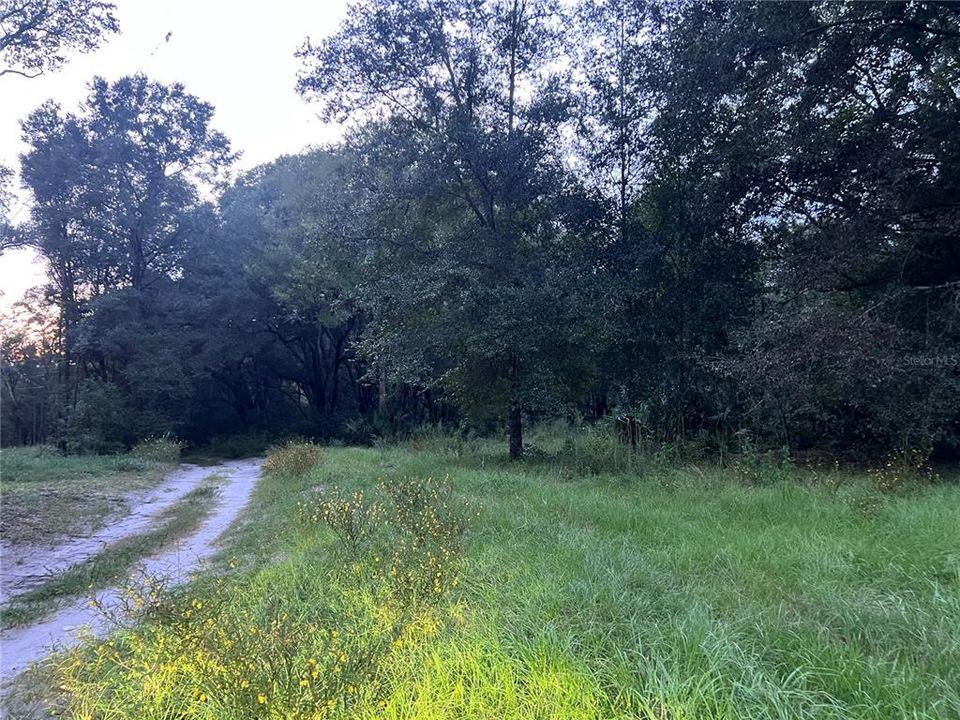 For Sale: $19,000 (0.71 acres)