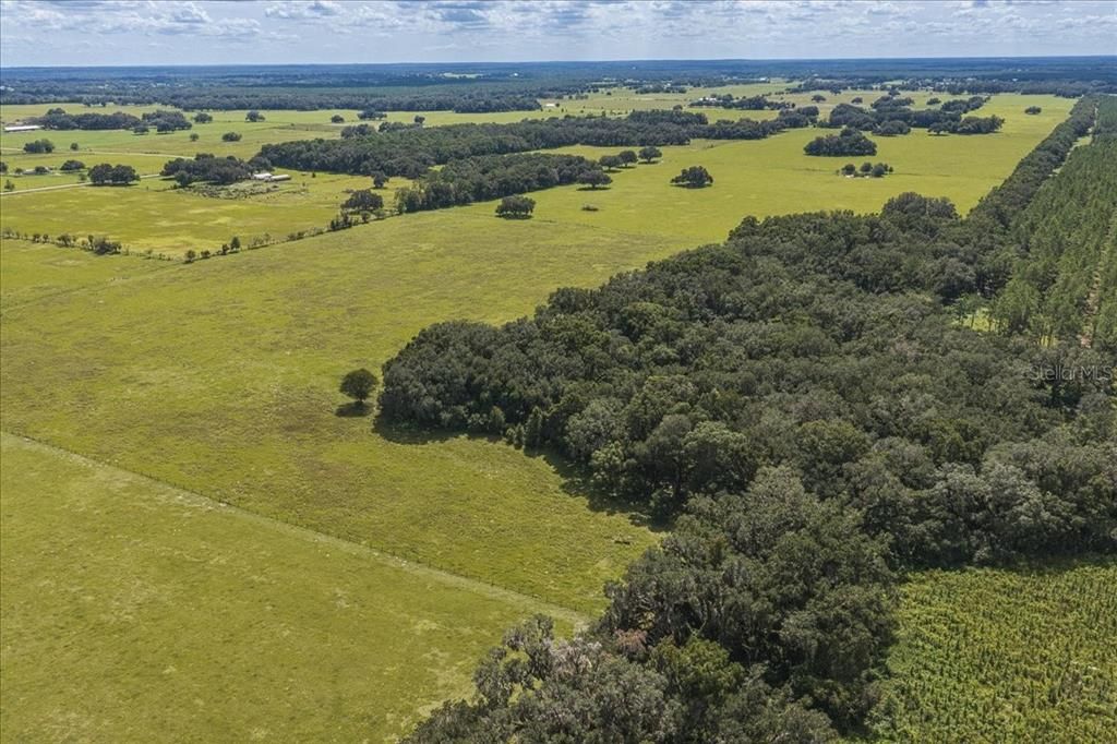 待售: $1,600,000 (82.22 acres)