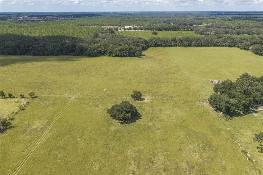 待售: $1,600,000 (82.22 acres)