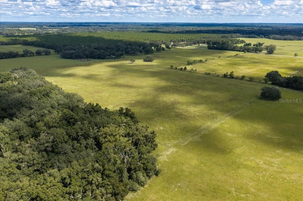 待售: $1,600,000 (82.22 acres)