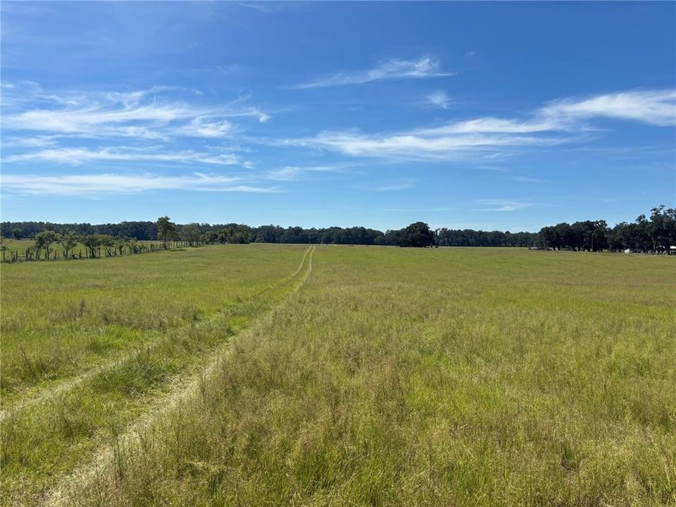 待售: $1,600,000 (82.22 acres)