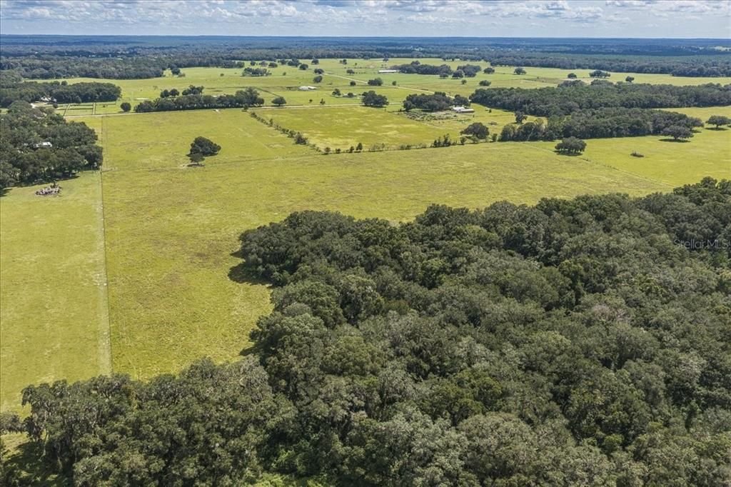 待售: $1,600,000 (82.22 acres)