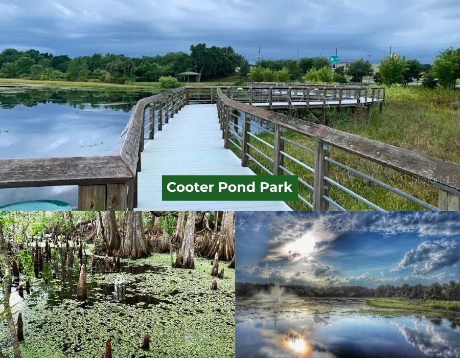 На продажу: $14,999 (0.28 acres)