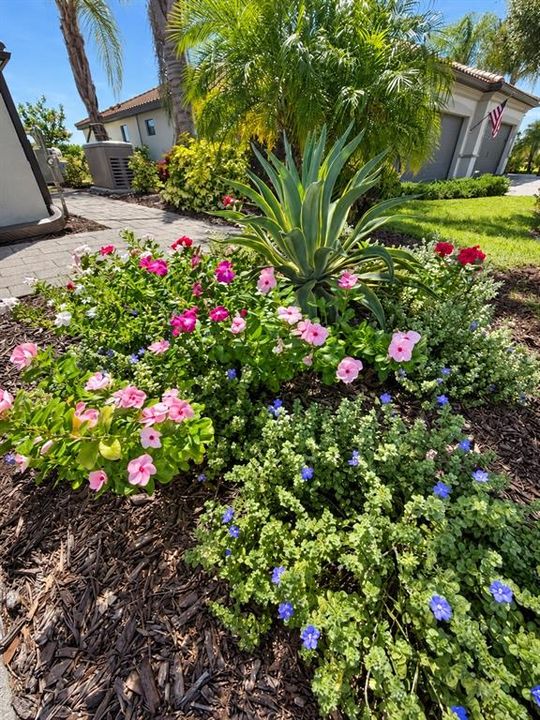 : $385,000 (2 beds, 2 baths, 1557 Square Feet)