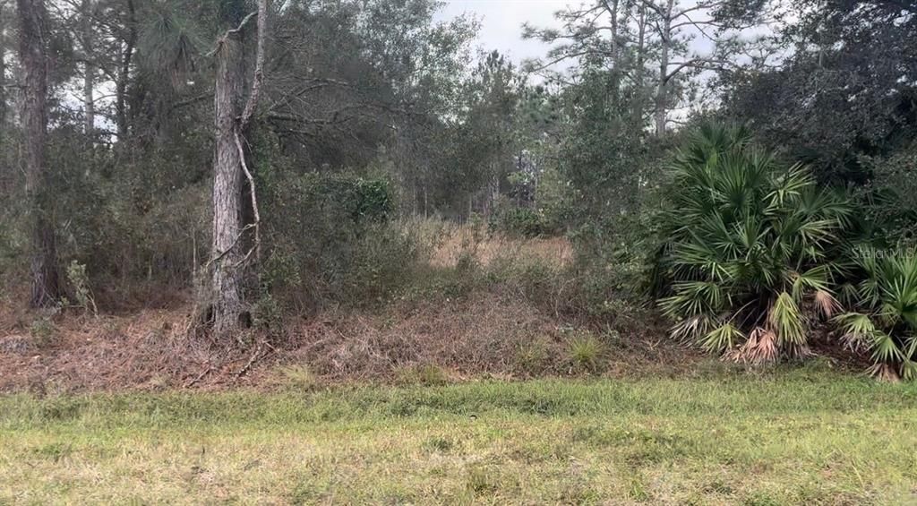 На продажу: $125,000 (1.24 acres)