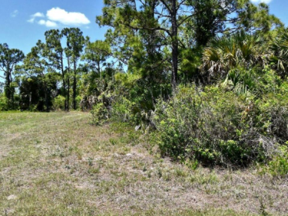 For Sale: $12,500 (0.23 acres)