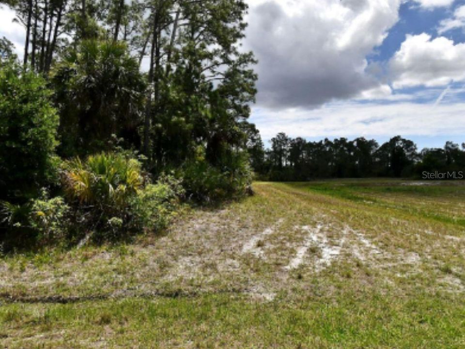 For Sale: $12,500 (0.27 acres)