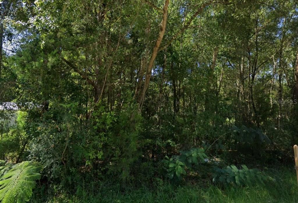 En Venta: $23,950 (0.22 acres)
