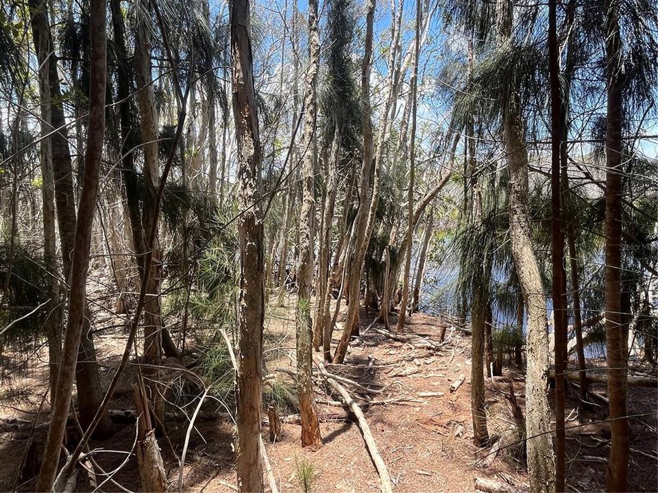 En Venta: $184,900 (0.75 acres)