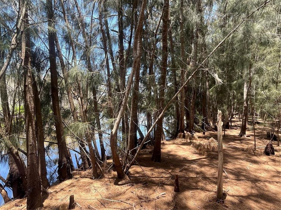 En Venta: $184,900 (0.75 acres)