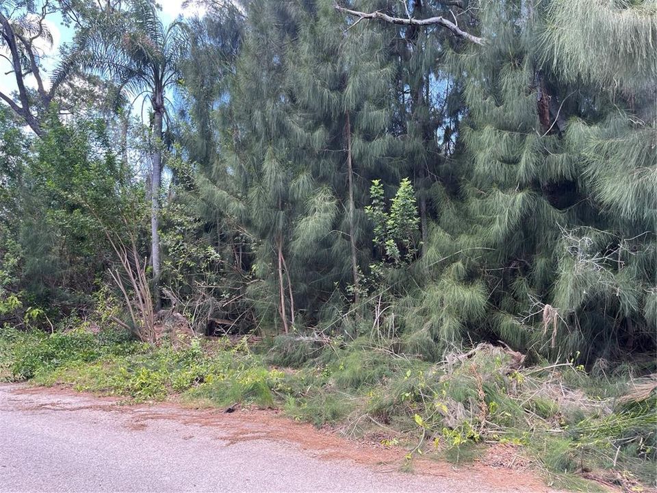 En Venta: $184,900 (0.75 acres)