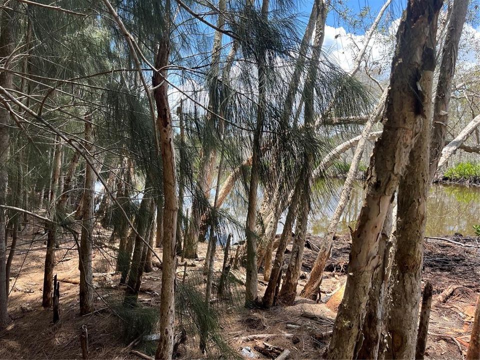 En Venta: $184,900 (0.75 acres)