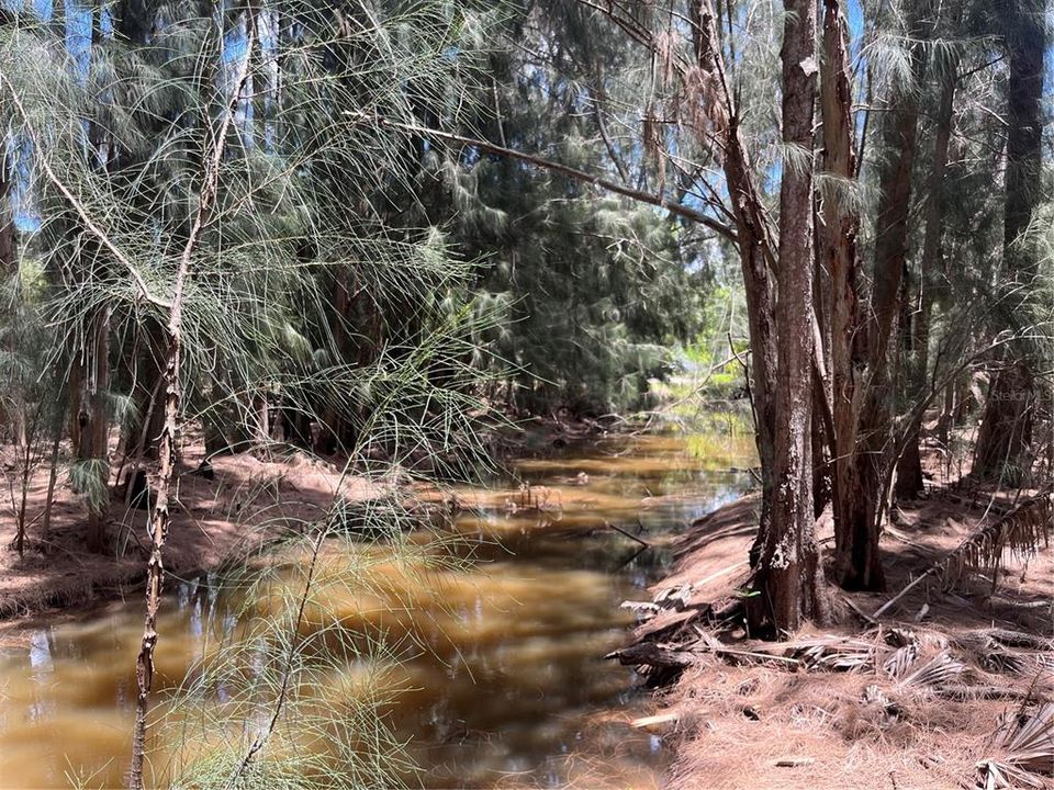 En Venta: $184,900 (0.75 acres)