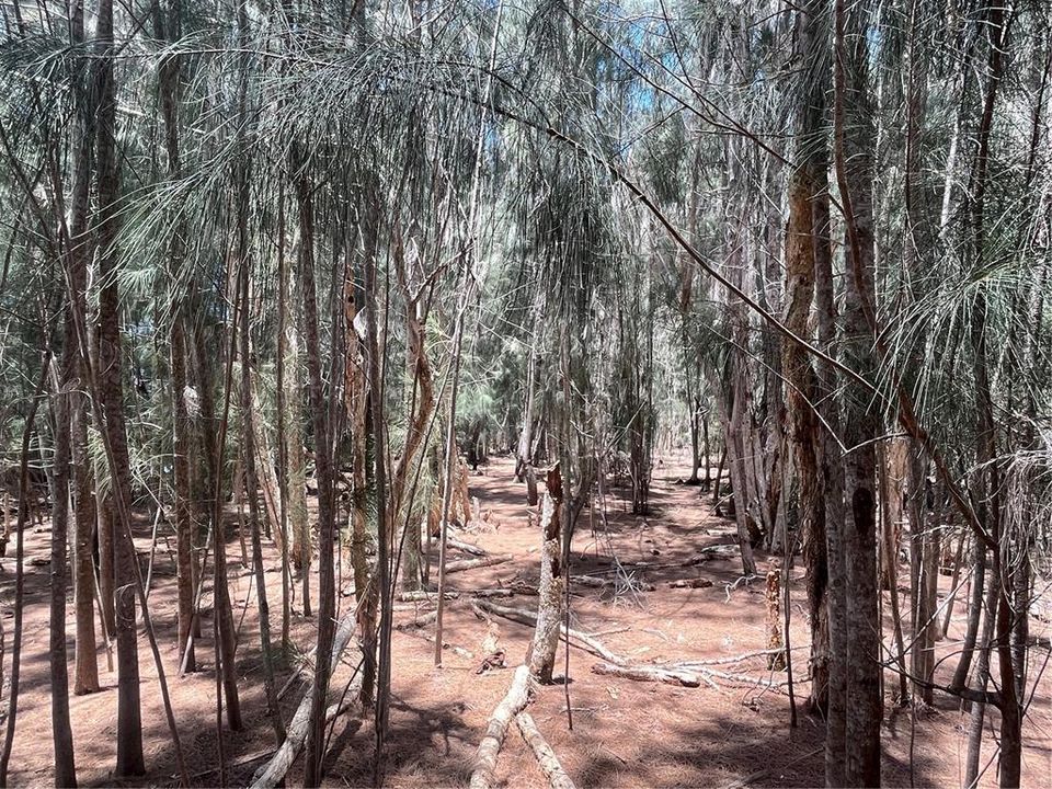En Venta: $184,900 (0.75 acres)