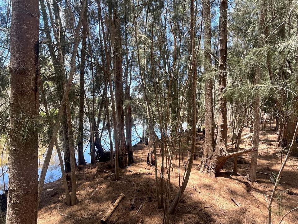 En Venta: $184,900 (0.75 acres)