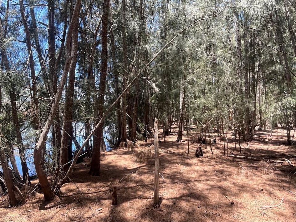 En Venta: $184,900 (0.75 acres)