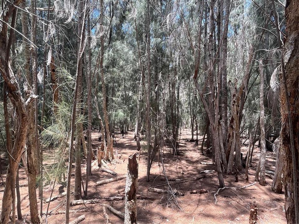 En Venta: $184,900 (0.75 acres)