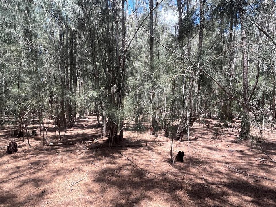 En Venta: $184,900 (0.75 acres)