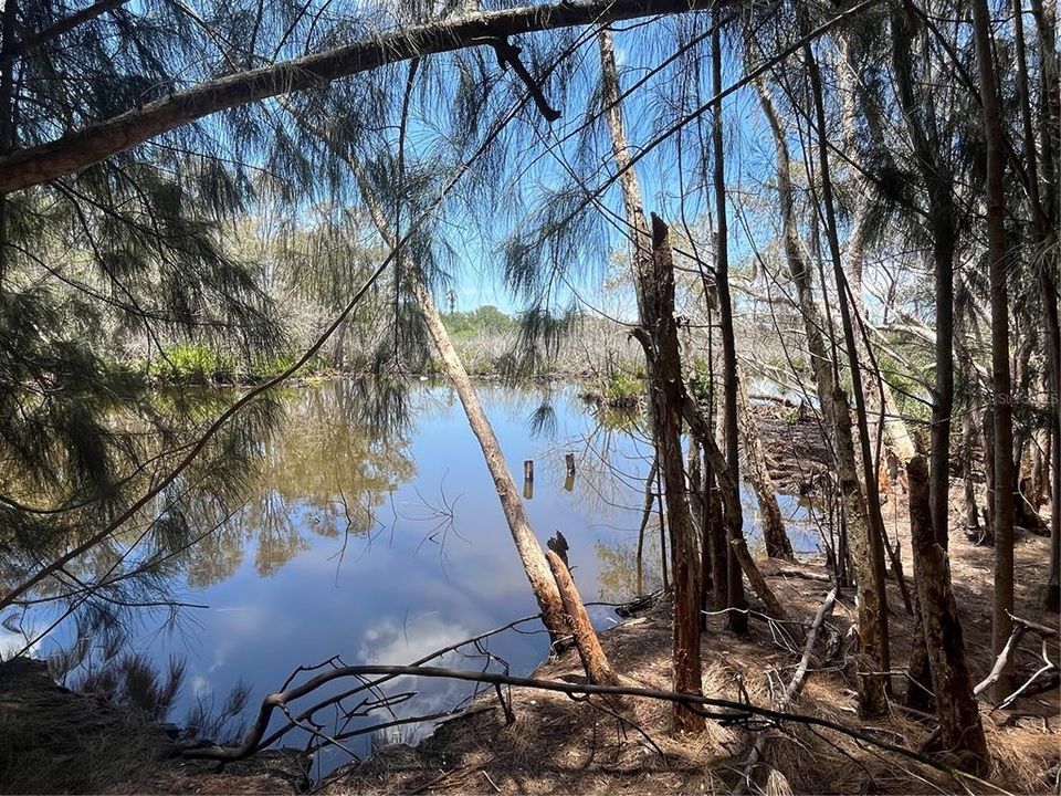 En Venta: $184,900 (0.75 acres)