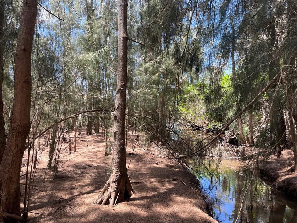En Venta: $184,900 (0.75 acres)