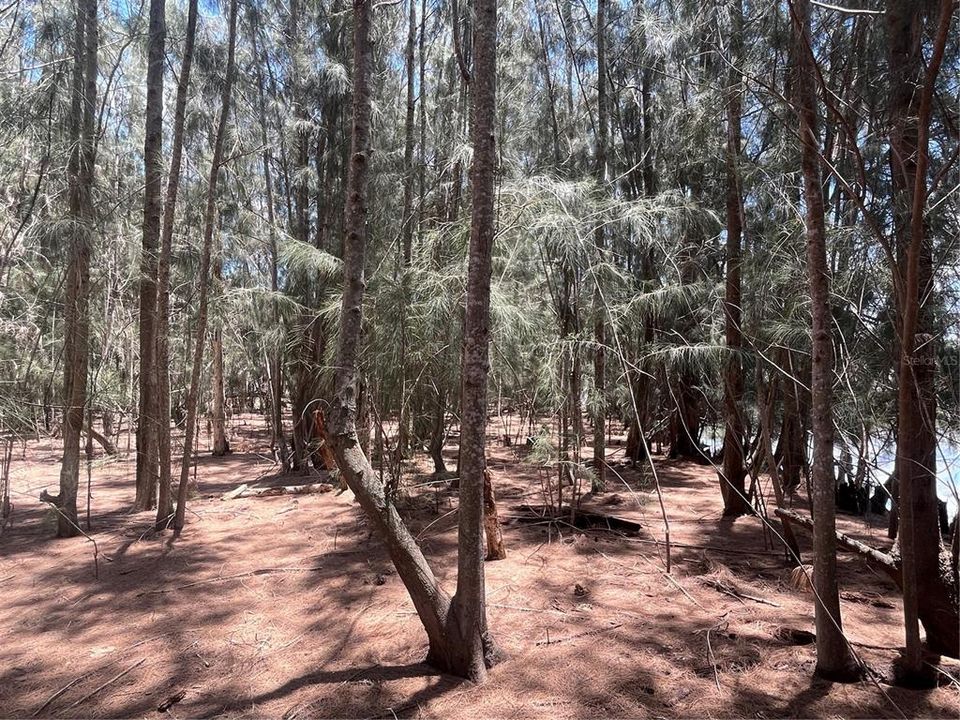 En Venta: $184,900 (0.75 acres)