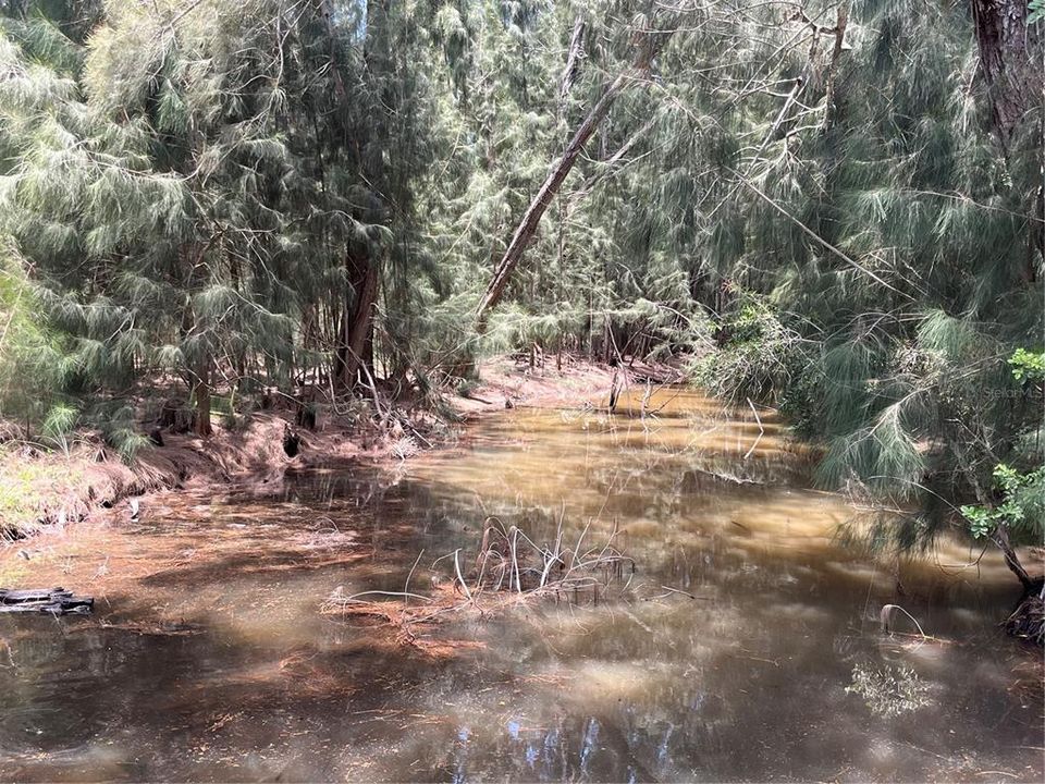 En Venta: $184,900 (0.75 acres)