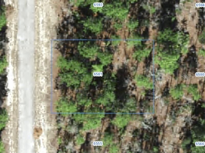 For Sale: $30,000 (0.26 acres)