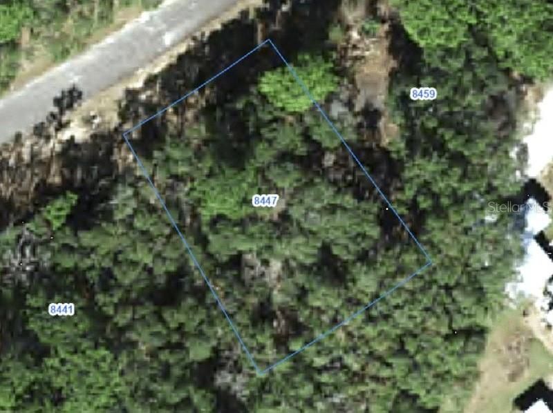 For Sale: $30,000 (0.25 acres)