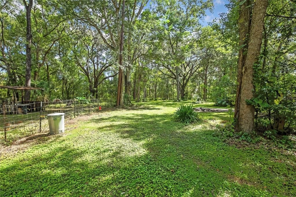 For Sale: $299,900 (3 beds, 2 baths, 923 Square Feet)