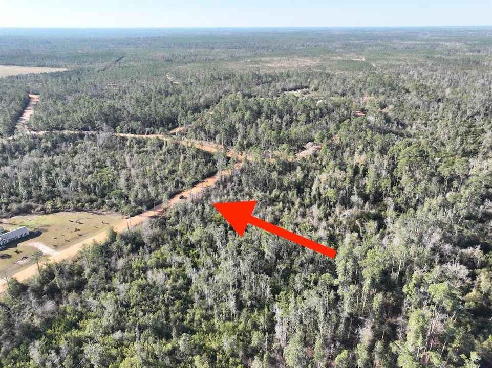 待售: $14,900 (1.67 acres)