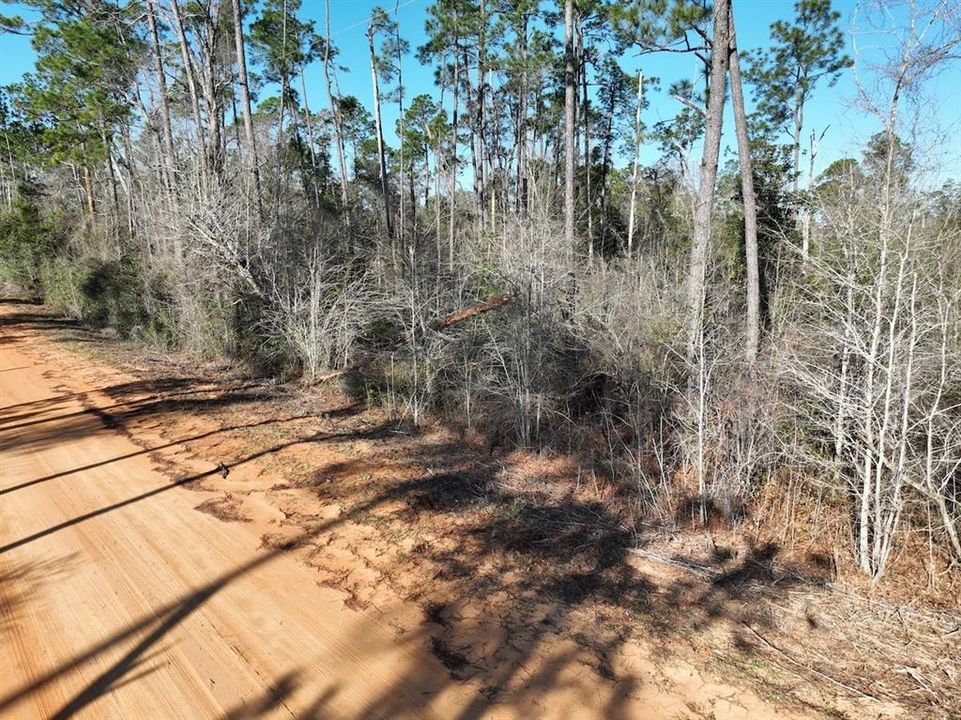 待售: $14,900 (1.67 acres)