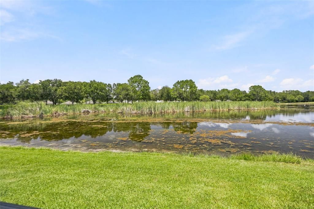 For Sale: $450,000 (2 beds, 2 baths, 2342 Square Feet)