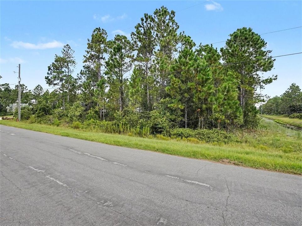 На продажу: $80,000 (1.24 acres)