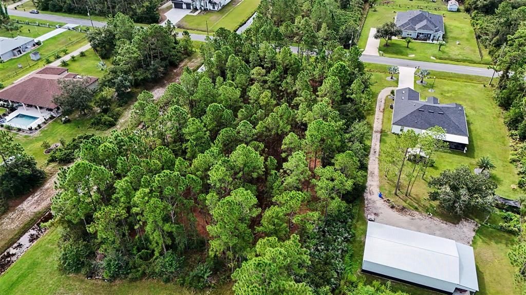 На продажу: $80,000 (1.24 acres)