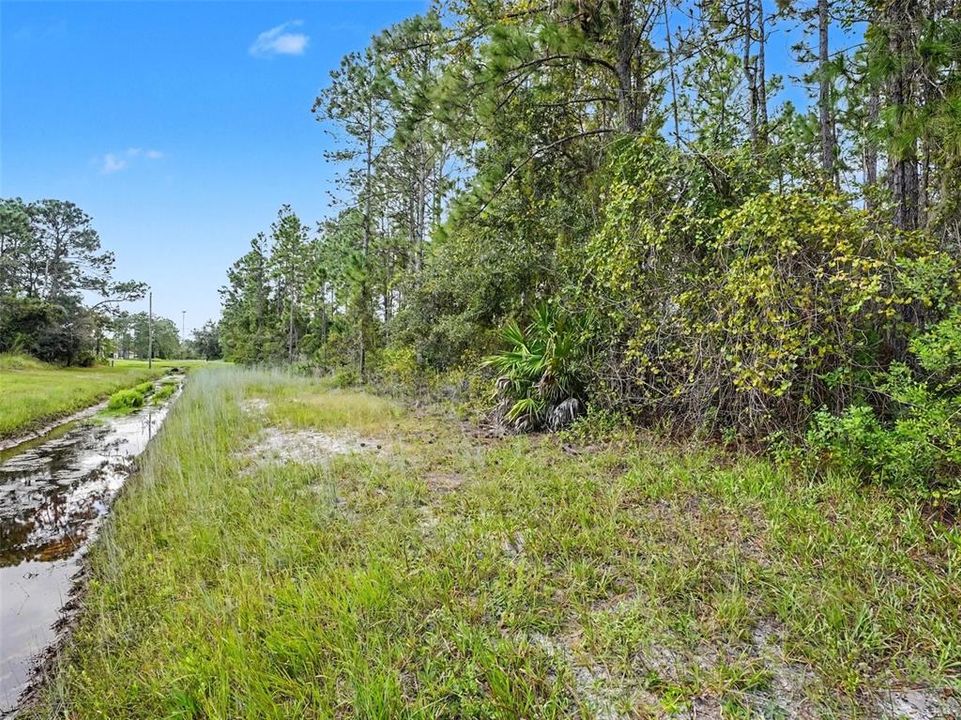 На продажу: $80,000 (1.24 acres)