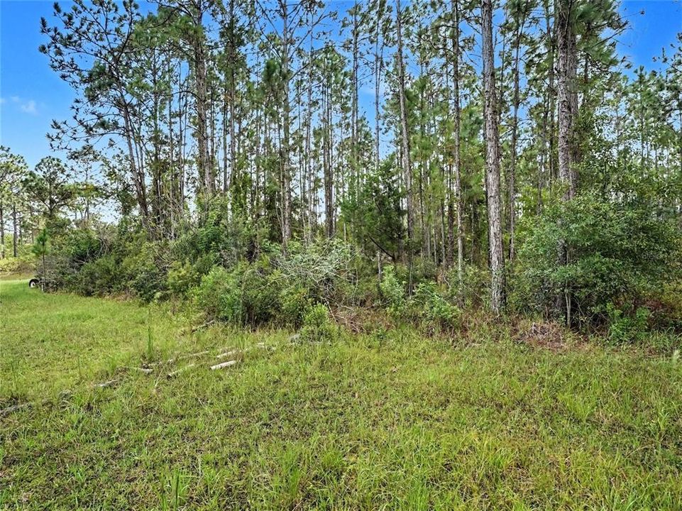На продажу: $80,000 (1.24 acres)