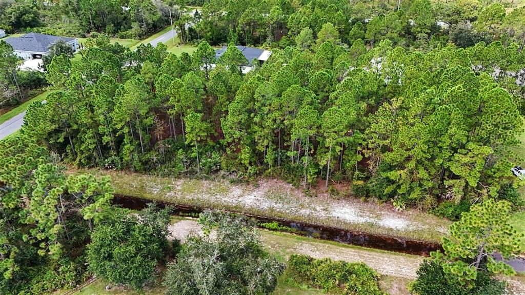На продажу: $80,000 (1.24 acres)