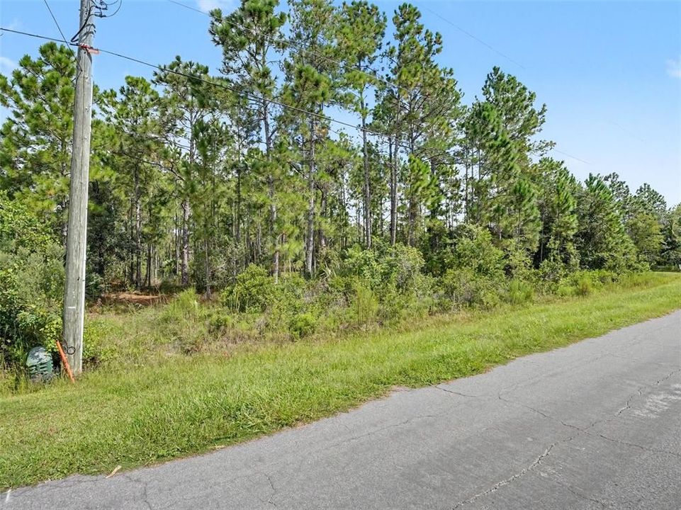 На продажу: $80,000 (1.24 acres)