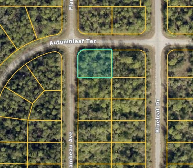 For Sale: $12,000 (0.29 acres)