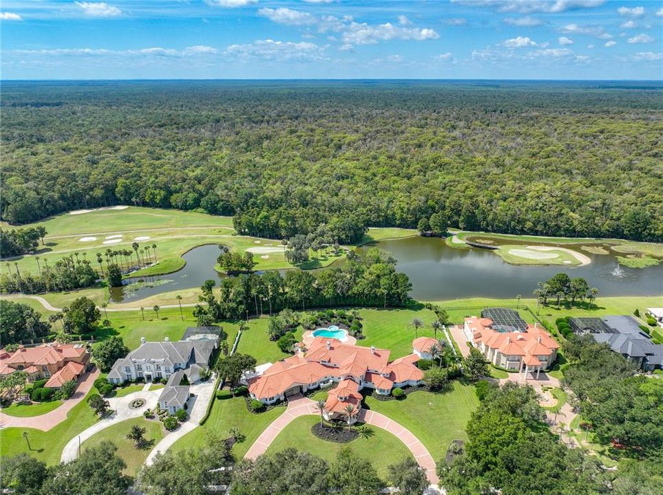 На продажу: $3,995,000 (6 спален, 7 ванн, 10059 Квадратных фут)