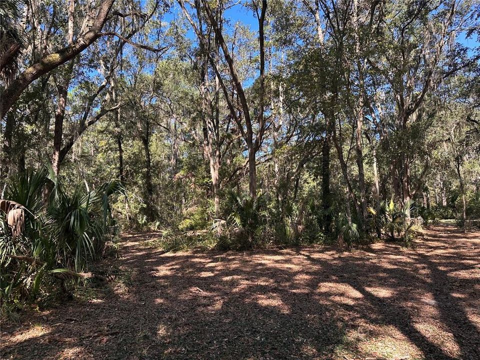 待售: $50,000 (0.73 acres)